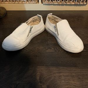 Steve Madden Enriko sneakers